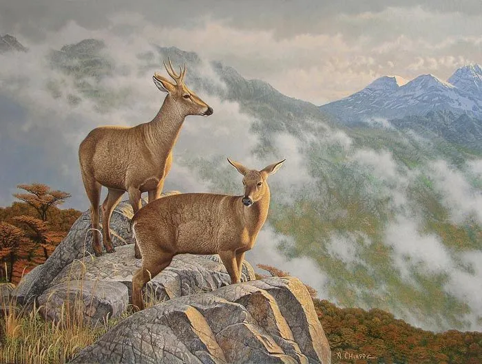 DIBUJOS DE HUEMUL - Imagui