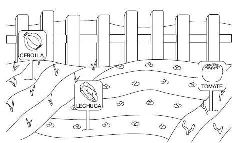 Dibujos para colorear sobre huerto escolar - Imagui Dibujos para colorear sobre huerto escolar - Imagui