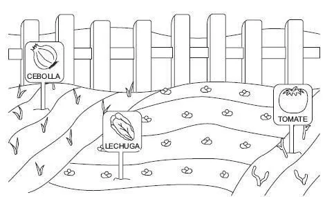 Dibujos para colorear sobre huerto escolar - Imagui
