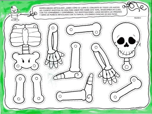 Cuerpo humano articulados para recortar - Imagui