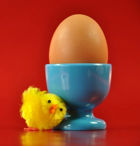 huevo de desayuno en una taza de huevo azul con amarillo pollito ...