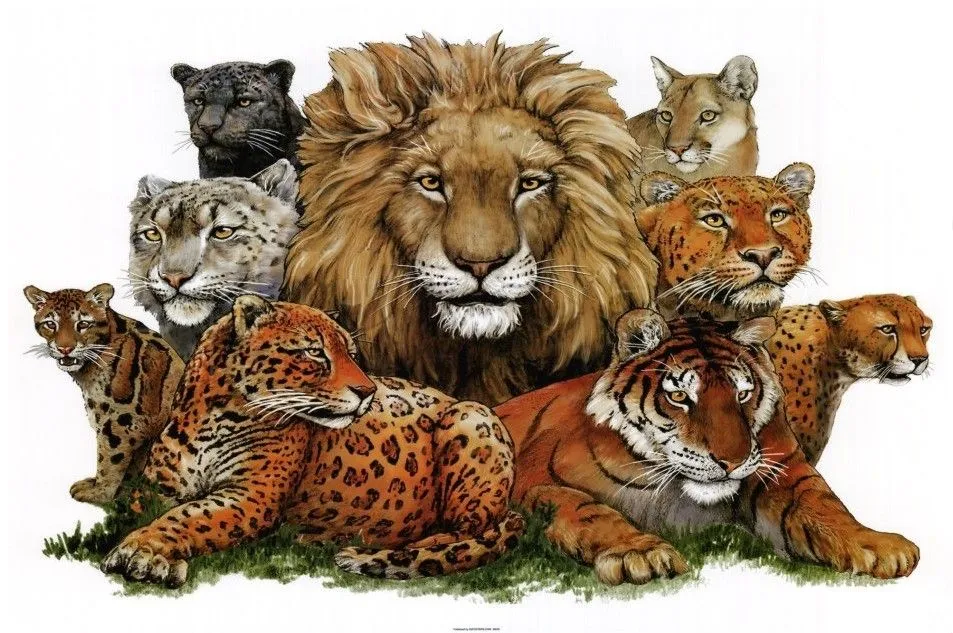 huevos de avestruz artesania: ANIMALES SALVAJES Y DE COMPAÑIA