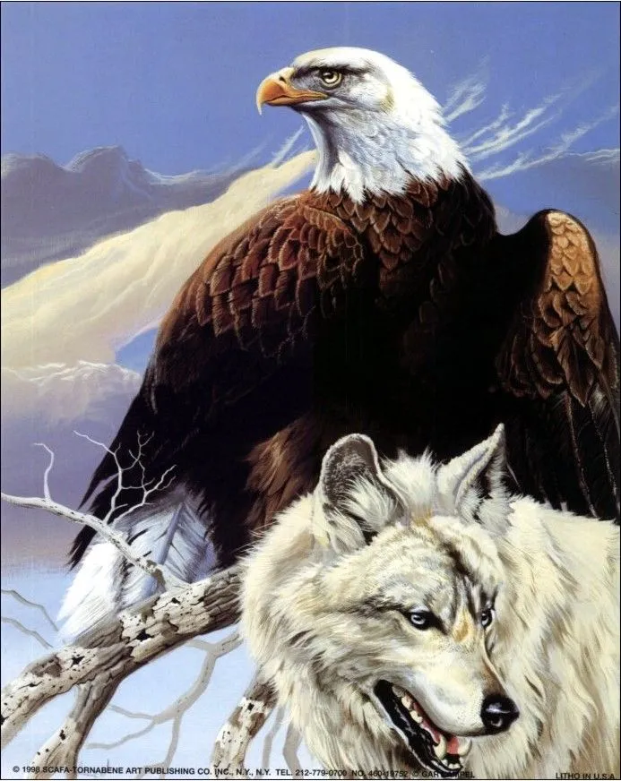 huevos de avestruz artesania: ANIMALES SALVAJES Y DE COMPAÑIA