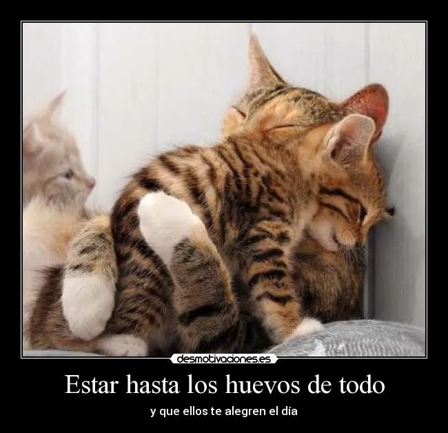 Estar hasta los huevos de todo - desmotivaciones. Estar hasta los huevos de todo - desmotivaciones.