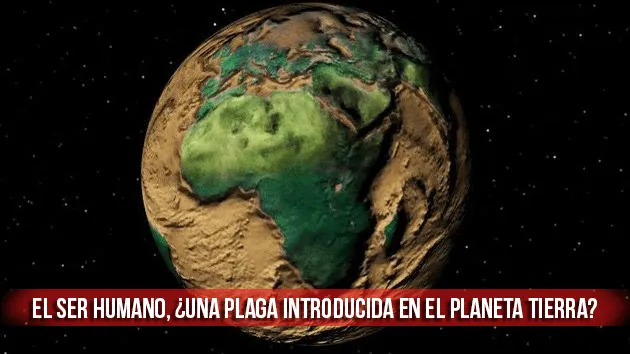 El ser humano, ¿Una plaga introducida en el planeta Tierra? | La ...
