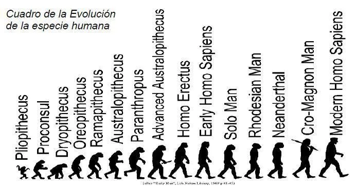 El ser humano…sigue evolucionando?, que va a ser de nuestro futuro ... El ser humano…sigue evolucionando?, que va a ser de nuestro futuro ...