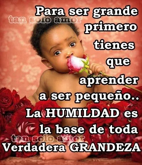 humildad.... | frases para reflexionar | Pinterest