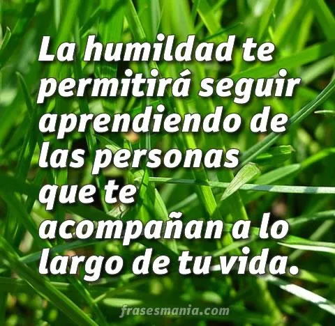 La humildad te permitirá seguir aprendiendo .... Frases. La humildad te permitirá seguir aprendiendo .... Frases.