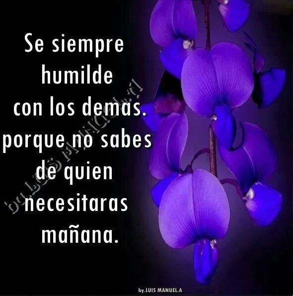 HUMILDAD" on Pinterest | Frases, Hay and Puertas