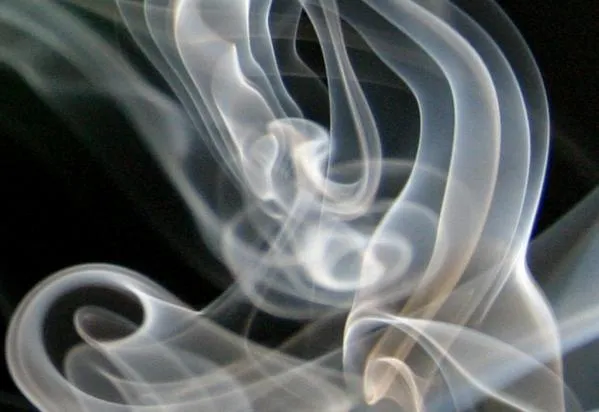 el humo - Taringa!
