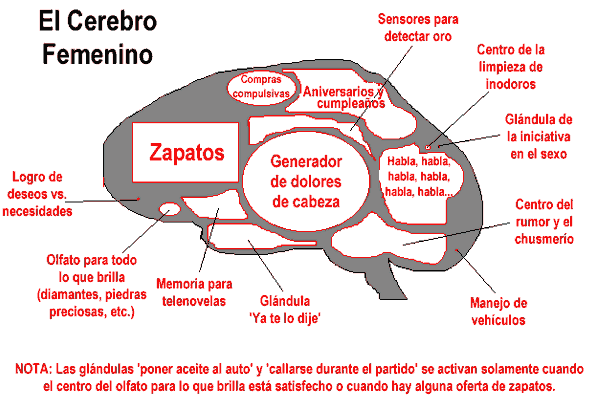 Humor para Facebook, chistes y bromas sobre el hombre y la mujer Humor para Facebook, chistes y bromas sobre el hombre y la mujer