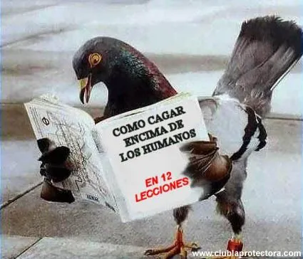 Humor Gráfico - Página 478 - Foros Perú