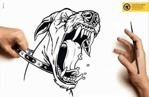 Humoralandyanna: Dibujos que parecen reales Humoralandyanna: Dibujos que parecen reales