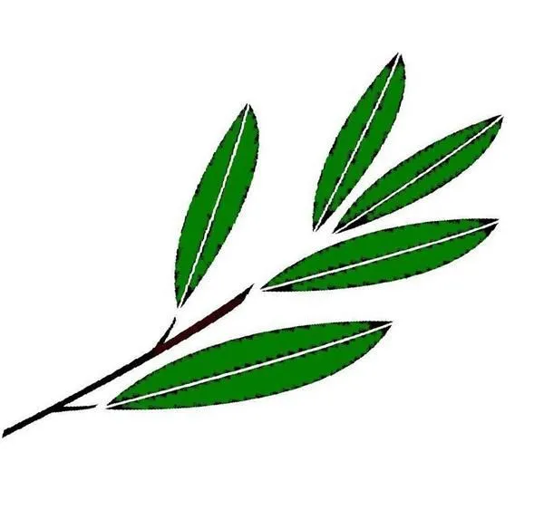 Hundred-years-old Olive Trees by Artemis Publications Hundred-years-old Olive Trees by Artemis Publications