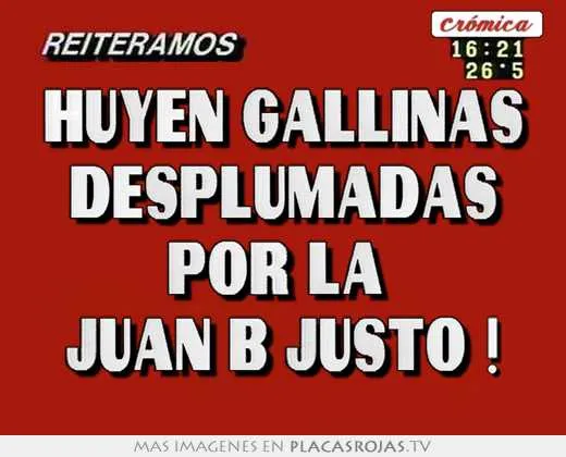 Huyen gallinas desplumadas por la juan b justo ! - Placas Rojas TV
