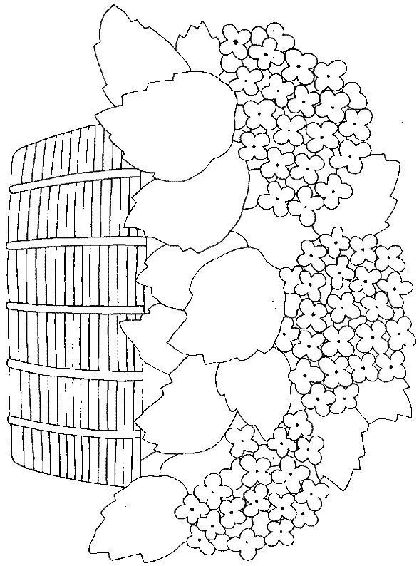 hydrangeas in basket | dibujos para pintar | Pinterest | Canastas ... hydrangeas in basket | dibujos para pintar | Pinterest | Canastas ...