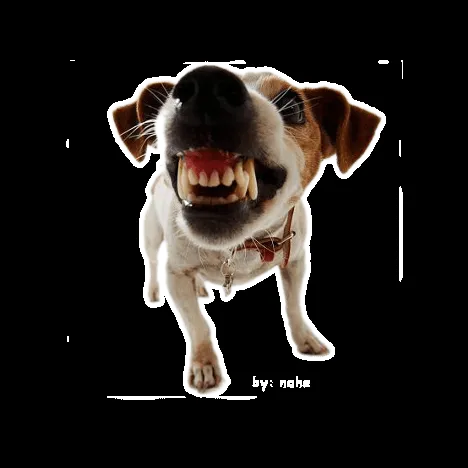 I'm the captain of my soul: Perros furiosos I'm the captain of my soul: Perros furiosos