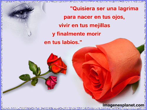 iamgenes-de-amor-con- ...