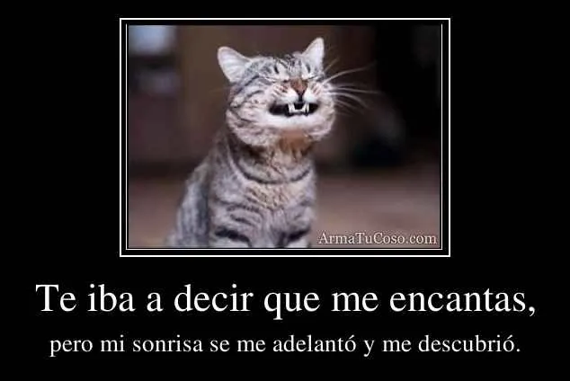 Te iba a decir que me encantas,