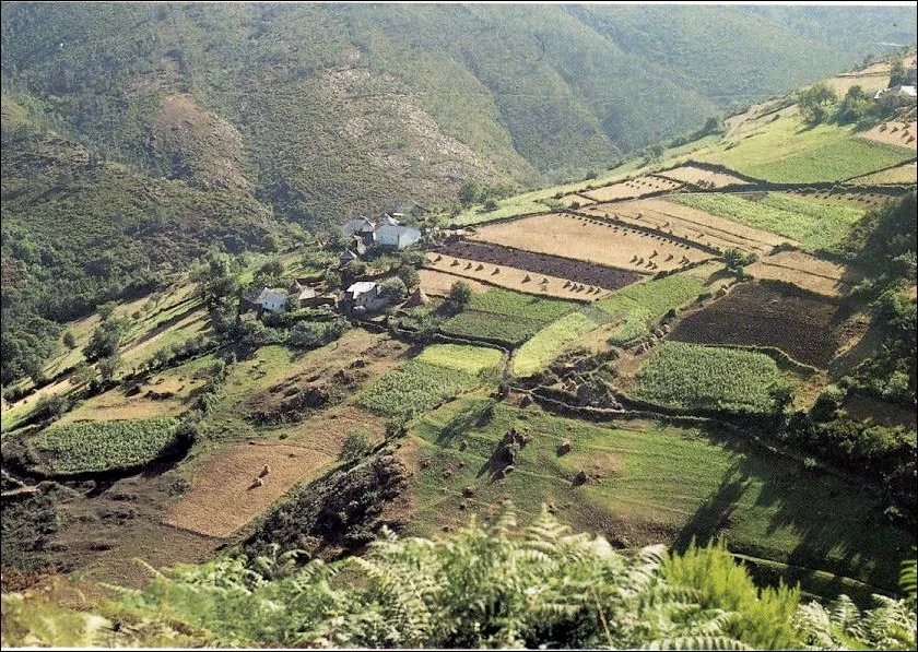 Ibias: parroquia de tormaleo: Un atardecer en Castaosa