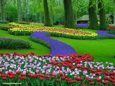 Ibistóner: La rutilante belleza de un jardín en flor Ibistóner: La rutilante belleza de un jardín en flor