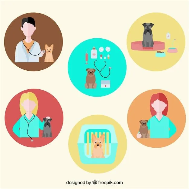 Iconos Veterinario | Descargar Vectores gratis Iconos Veterinario | Descargar Vectores gratis