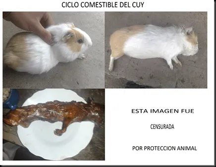 ida........ Verdades de esta v