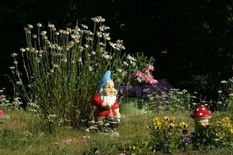 Fotos de gnomos y duendes reales - Imagui