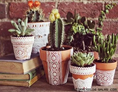 Nueva idea para decorar las macetas