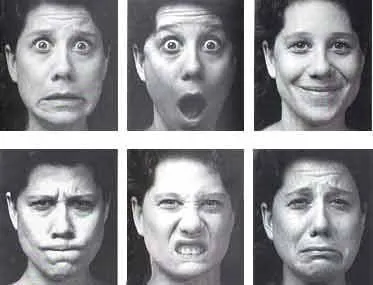 Idea Emocional: Más que una cara bonita: El atractivo estaría en ... Idea Emocional: Más que una cara bonita: El atractivo estaría en ...