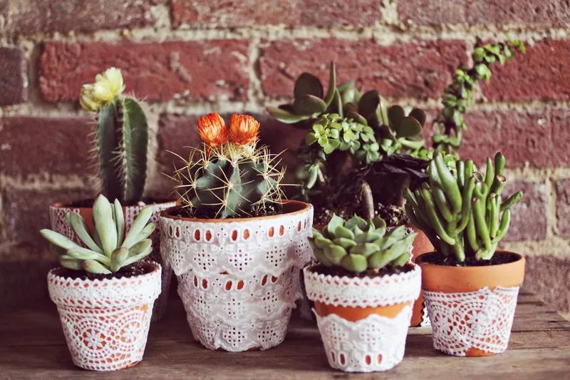 IDEA: MACETAS DECORADAS CON ENCAJES - SOMOSDECO Blog de Decoración IDEA: MACETAS DECORADAS CON ENCAJES - SOMOSDECO Blog de Decoración