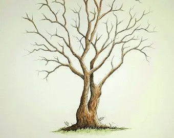 8 ideas de Araguaney en 2023 | arbol de huellas boda, arbol huellas, dibujos de pájaro 8 ideas de Araguaney en 2023 | arbol de huellas boda, arbol huellas, dibujos de pájaro
