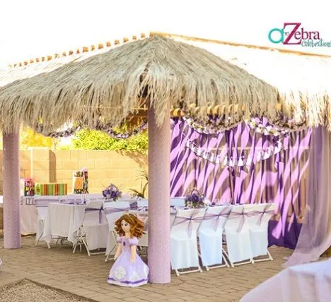 Ideas para celebrar una fiesta de cumpleaños de La Princesa Sofía