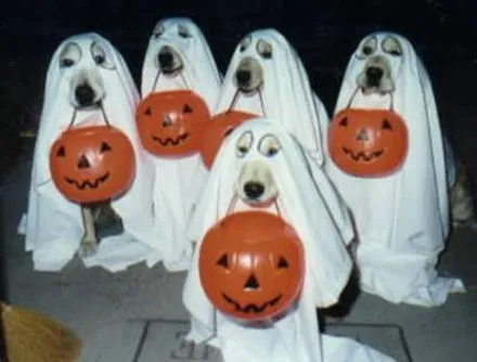 Disfraces faciles para Halloween - Imagui