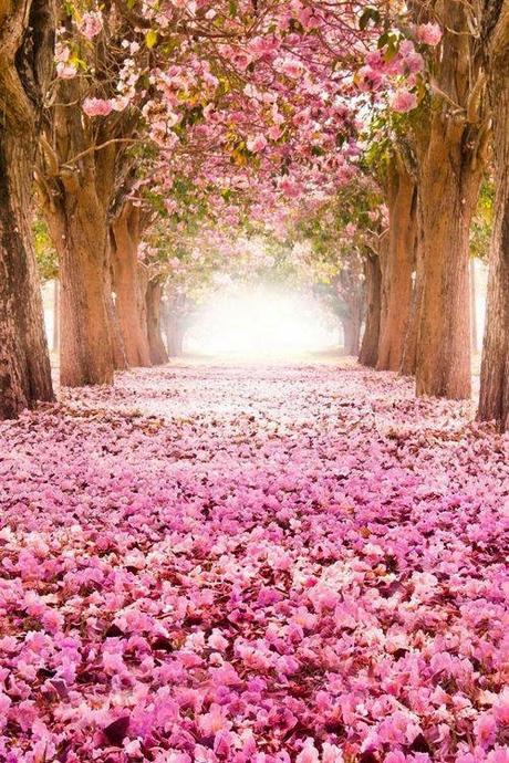 Ideas e inspiración para bodas en primavera - Paperblog Ideas e inspiración para bodas en primavera - Paperblog