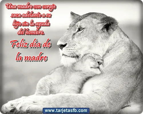 Tarjetas para Facebook Gratis | Postales para Amor y Amistad ... Tarjetas para Facebook Gratis | Postales para Amor y Amistad ...