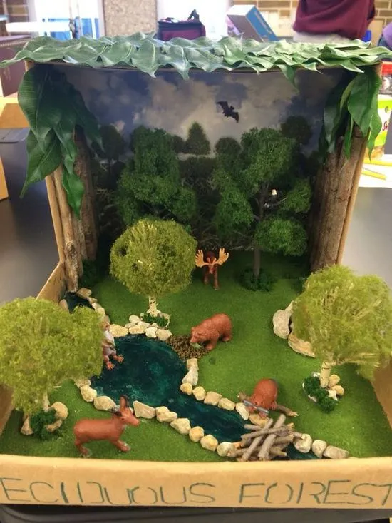 9 ideas de Maquetas de los bosques | maquetas de ecosistemas, decoración de unas, maqueta de animales 9 ideas de Maquetas de los bosques | maquetas de ecosistemas, decoración de unas, maqueta de animales