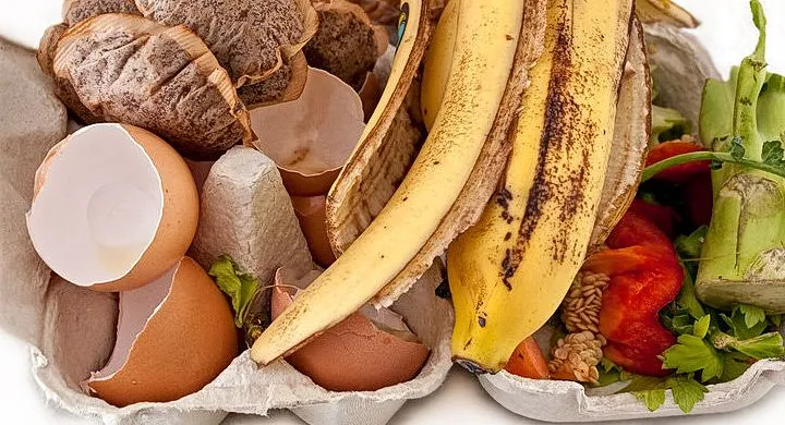 Ideas para reciclar las cáscaras de los huevos