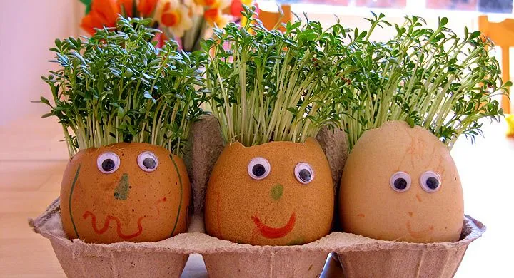 Ideas para reciclar las cáscaras de los huevos