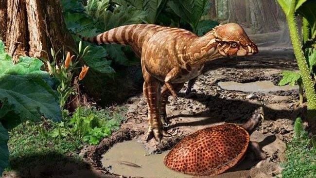 Identifican una nueva especie de dinosaurio herbívoro - 20minutos.es Identifican una nueva especie de dinosaurio herbívoro - 20minutos.es