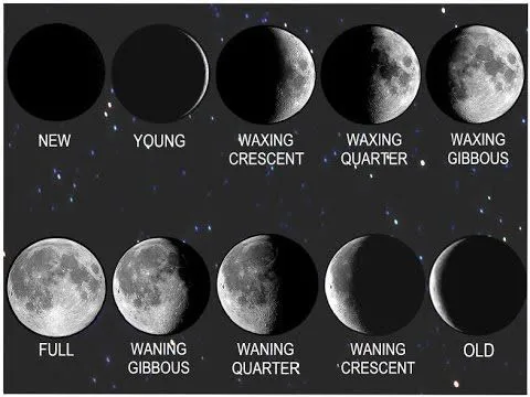 Cómo identificar las fases de la luna - Youtube Downloader mp3 Cómo identificar las fases de la luna - Youtube Downloader mp3