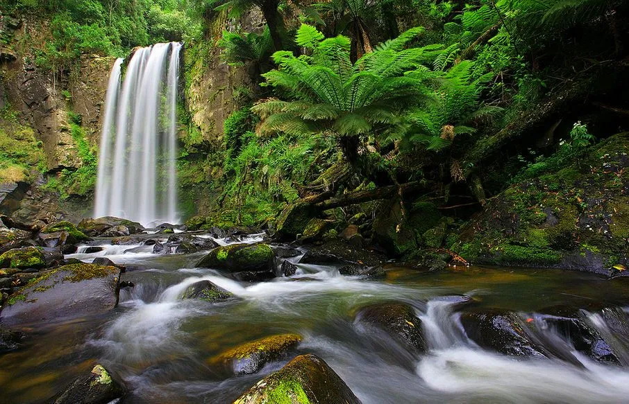 Idool Cascadas del Paraíso - Paradise Waterfalls - Australia | HD ... Idool Cascadas del Paraíso - Paradise Waterfalls - Australia | HD ...
