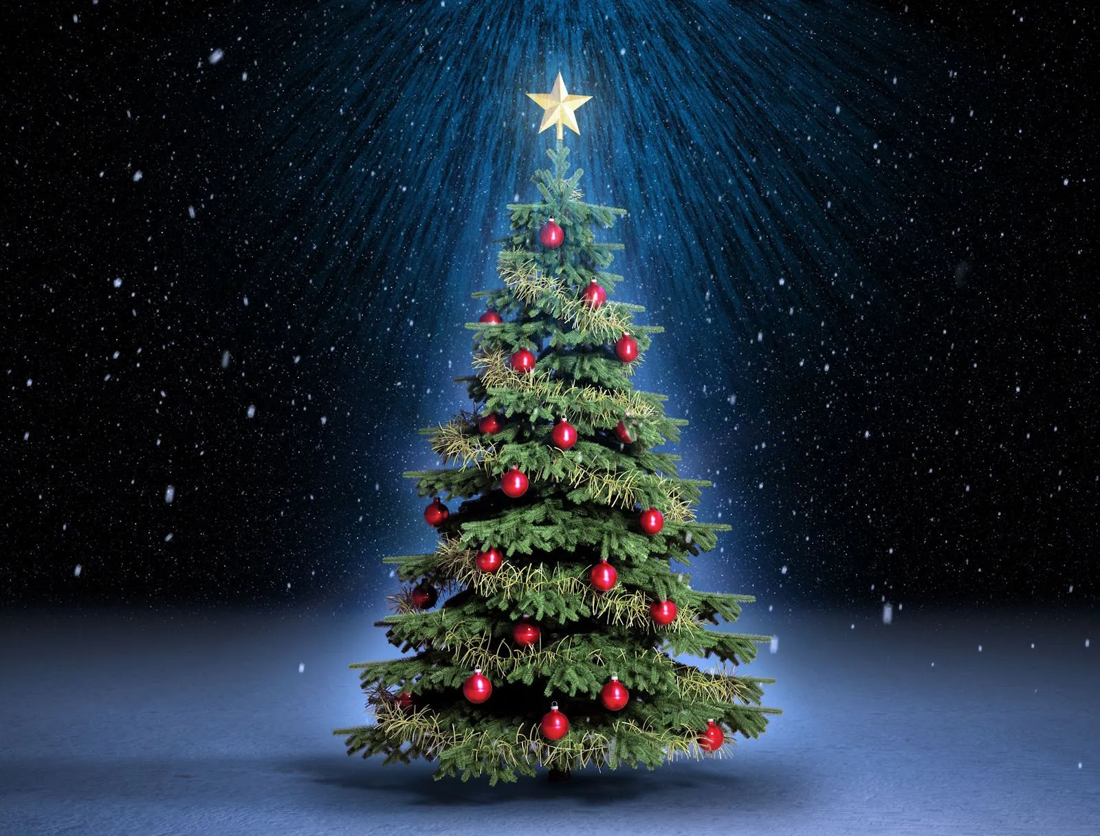 idool Especial de Fin de Año (Fotos de Árboles de Navidad)