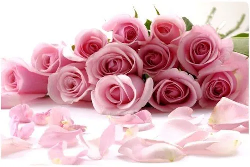 Imágenes de rosas para el Día de las Madres | Banco de Imagenes Imágenes de rosas para el Día de las Madres | Banco de Imagenes