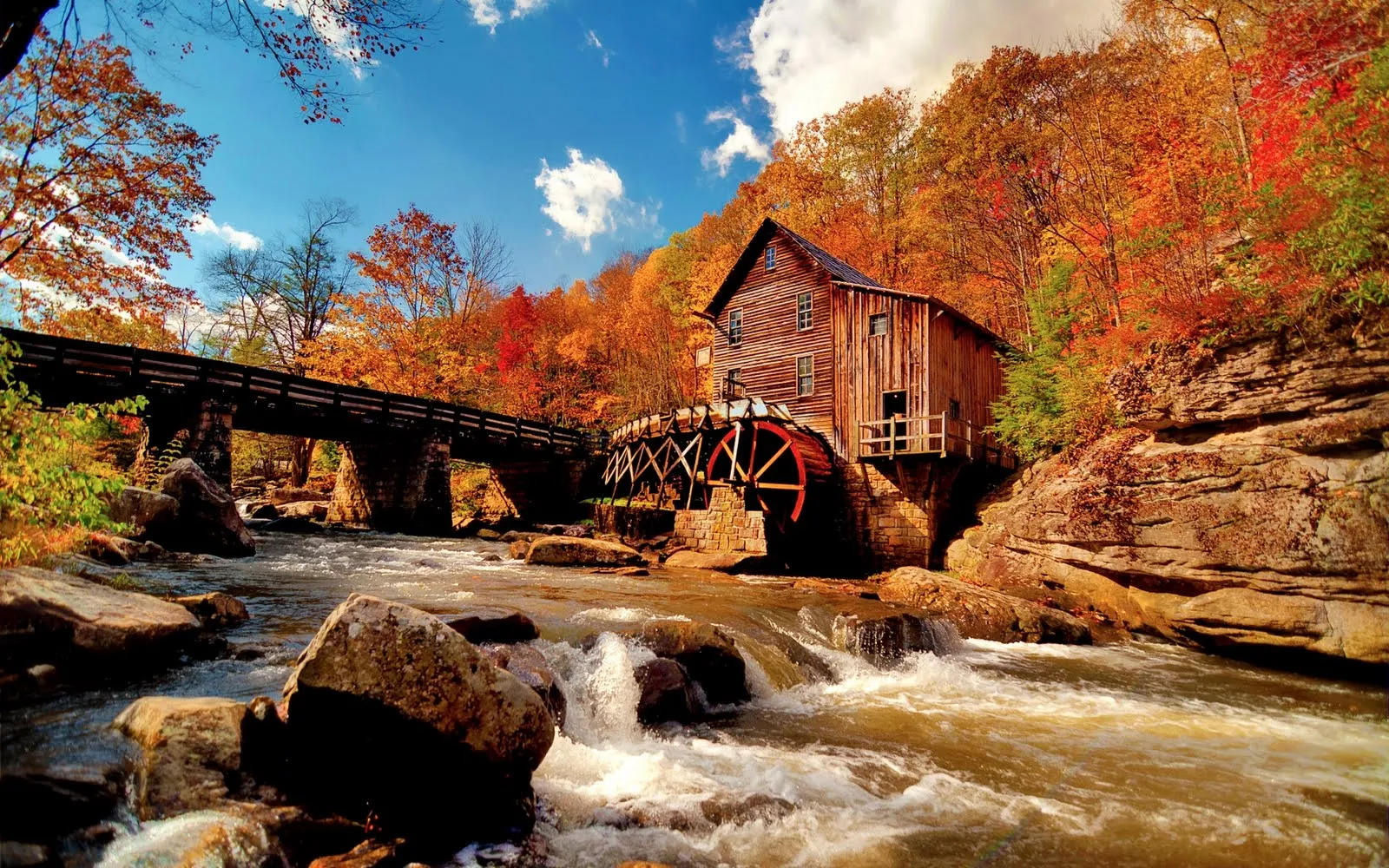 Idool Otoño en el bosque junto al río - Forest Autumn Idool Otoño en el bosque junto al río - Forest Autumn