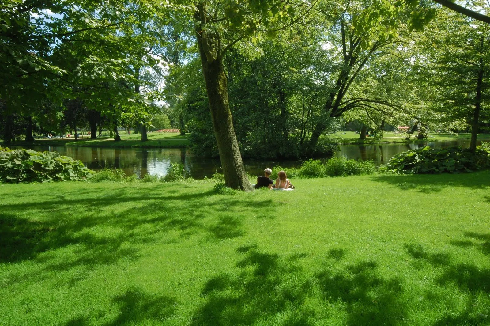 Idool Pareja de enamorados en un paisaje natural junto al río Idool Pareja de enamorados en un paisaje natural junto al río