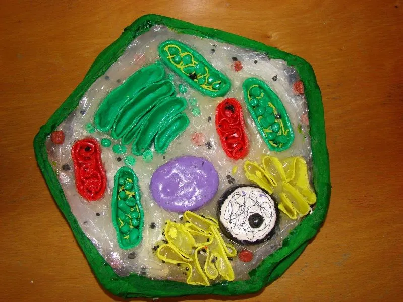 IES RAMOS DEL MANZANO