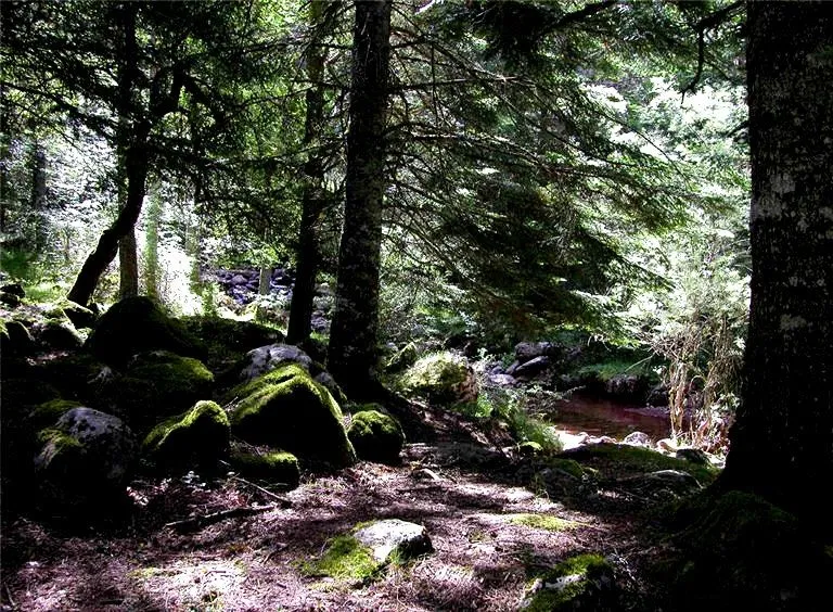 IES Severo Ochoa: Paisaje con brillo y contraste