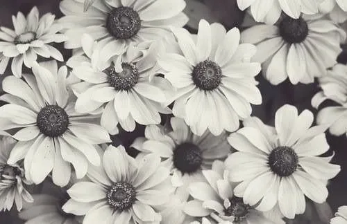If you're reading this you're beautiful.