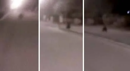 iG Colunistas – Área 51 - Teorias, mitos, profecias, lendas e ... iG Colunistas – Área 51 - Teorias, mitos, profecias, lendas e ...